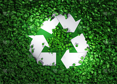 eco_ico